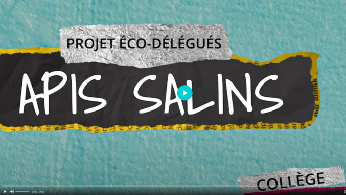 Projet éco Délégués : Apis Salins